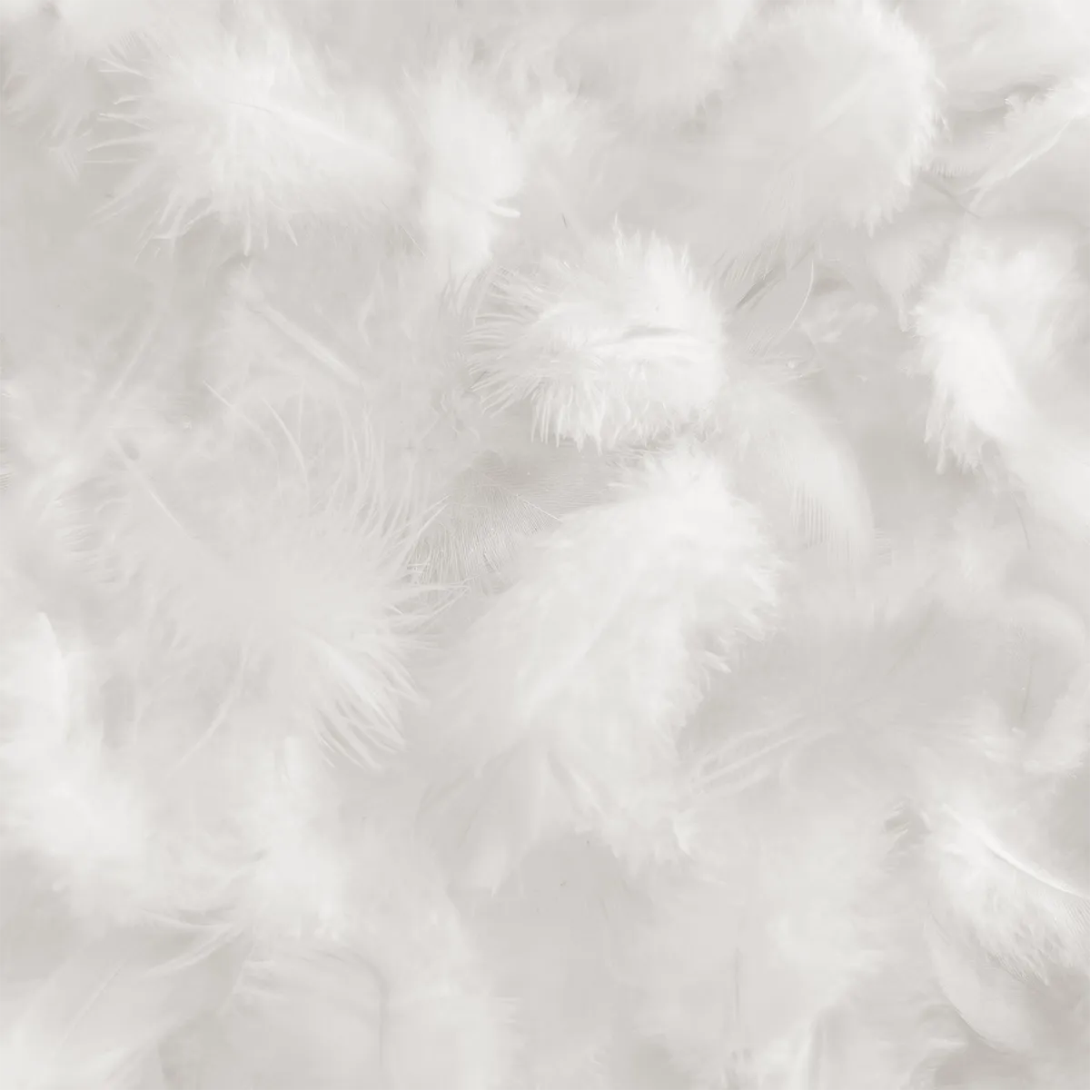 Schlossberg-Bettdecken-Kissen-Fuellmaterial-Daunen-1200x1200