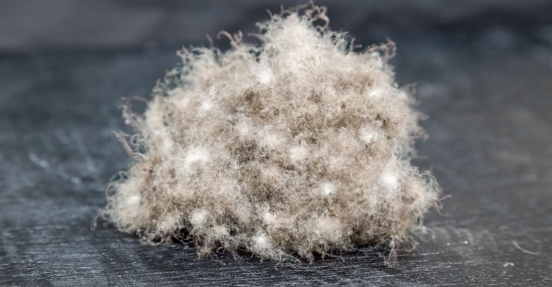 Schlossberg-Bettdecken-Kissen-Fuellmaterial-Eiderdaune-1920x1000