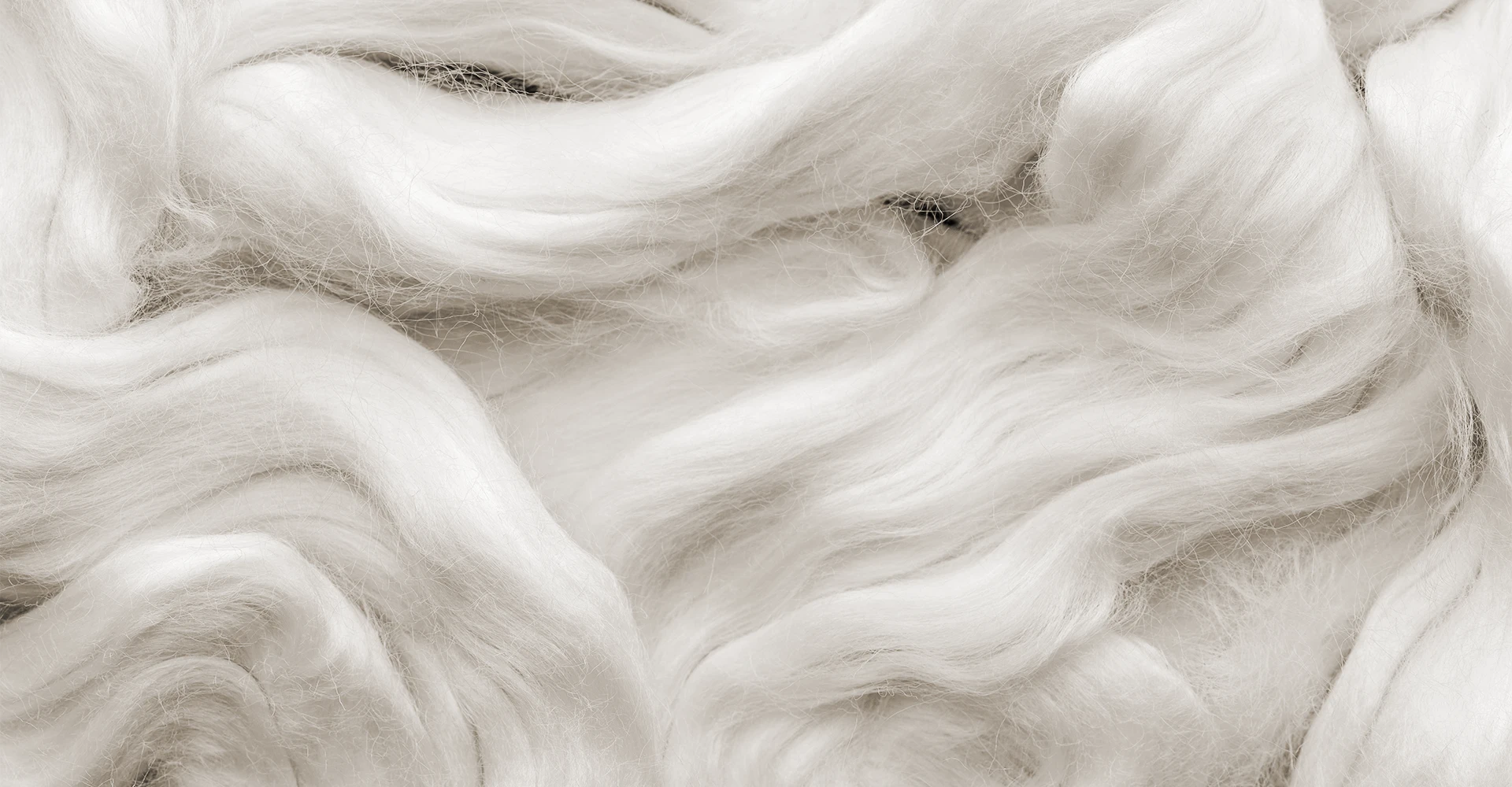 Schlossberg-Bettdecken-Kissen-Fuellmaterial-Bambus-1920x1000 Schlossberg-Bettdecken-Kissen-Fuellmaterial-Bambus-1920x1000