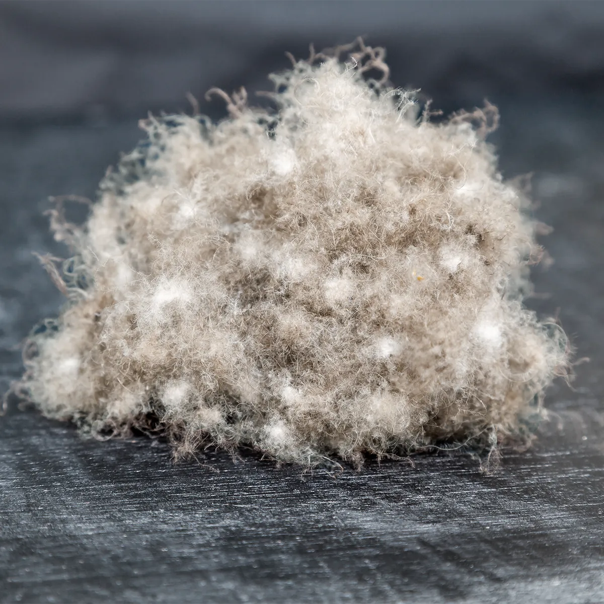 Schlossberg-Bettdecken-Kissen-Fuellmaterial-Eiderdaune-1200x1200 Schlossberg-Bettdecken-Kissen-Fuellmaterial-Eiderdaune-1200x1200