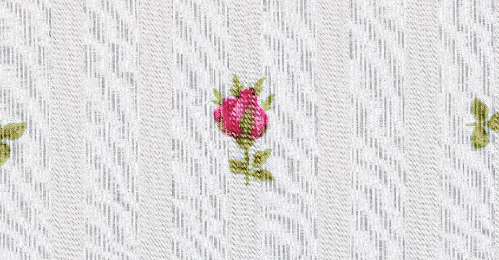 Schlossberg Switzerland-rose-hero