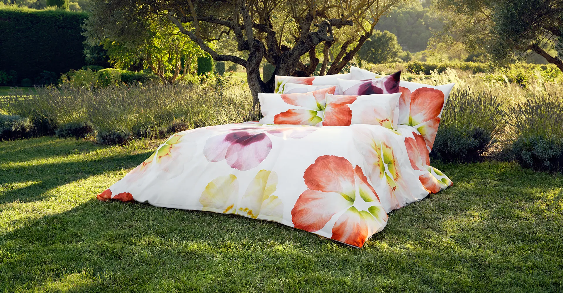 Schlossberg Bettwäsche Aurora im Freien mit floralen Motiven Hochwertige Schlossberg-Bettwäsche Aurora mit großflächigen, farbenfrohen Blumenmotiven auf weißem Stoff, stilvoll arrangiert inmitten einer idyllischen Landschaft unter einem malerischen Baum.