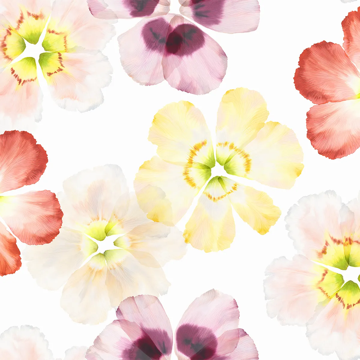 Schlossberg Bettwäsche Aurora Design in Pastellfarben Ein fröhliches Blumenmuster aus Pastellfarben auf der "Aurora"-Bettwäsche von Schlossberg, die sich durch weiche, florale Details auf weißem Hintergrund auszeichnet. Ideal für ein frisches, elegantes Schlafzimmer.