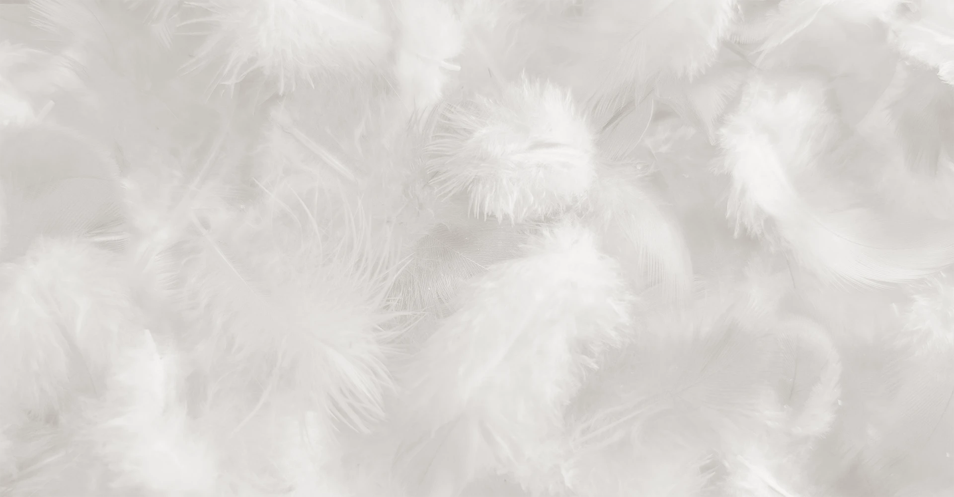 Schlossberg-Bettdecken-Kissen-Fuellmaterial-Daunen-1920x1000